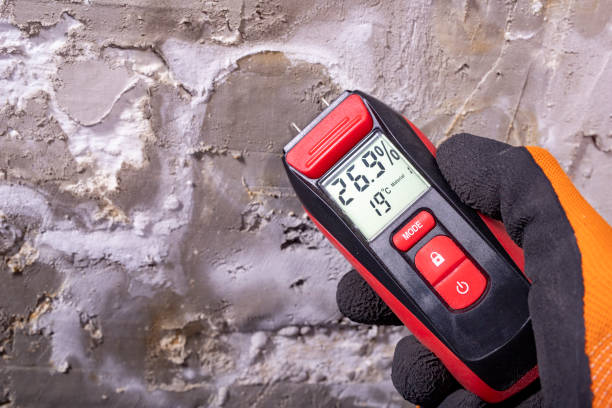 Best Mold Remediation for Specific Building Types in Midland, WA